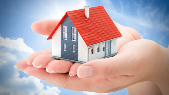 serenity real estate concept