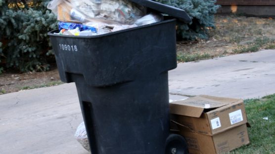 garbage2
